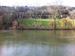 PEG 45 Pictures
